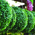 Topiary Balls