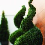 Topiary Spirals