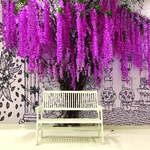 Wisteria Trees