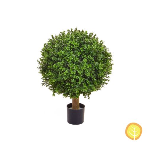 Topiary Buxus Ball (40cm)