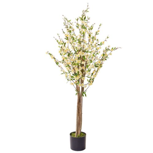 150cm (5ft) Cherry Blossom with Natural Tree Trunk  - White