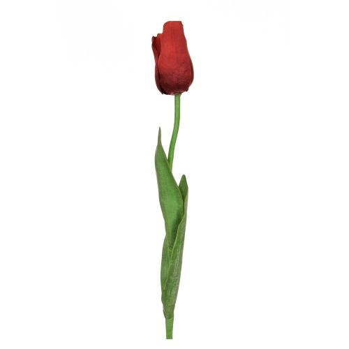 68cm Single Stem Tulip – Elisa Red