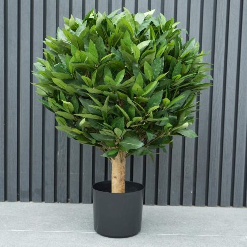 2.5ft (70cm) Outdoor Living Laurel Tree (UV Protected)