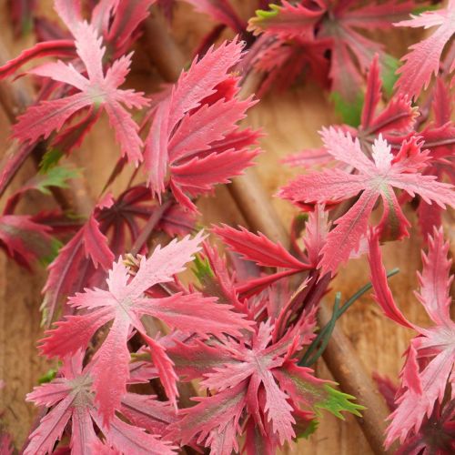 100cm x 200cm Red Acer Trellis Hedge