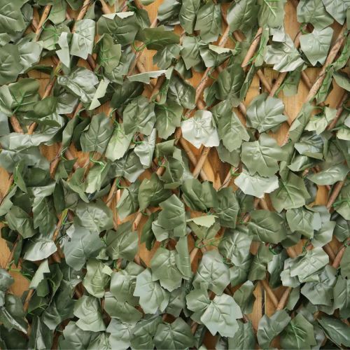 200cm x 100cm Ivy Trellis