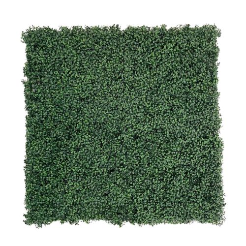 100cm x 100cm Green Buxus Wall Panel