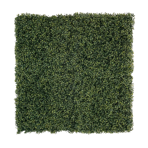 100cm x 100cm PE Variegated Buxus Wall Panel