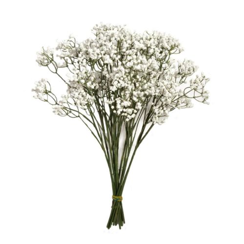 48cm Gypsophilia Stem