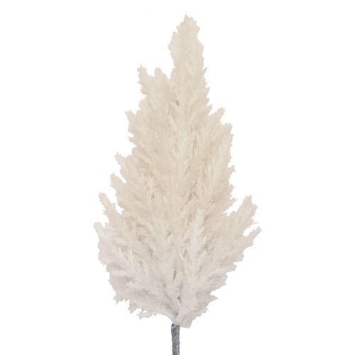 95cm Pampas Stem