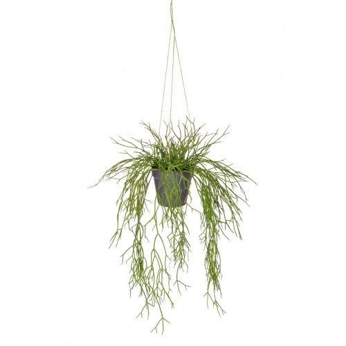 55cm Grass Hanging in Rusted Pot