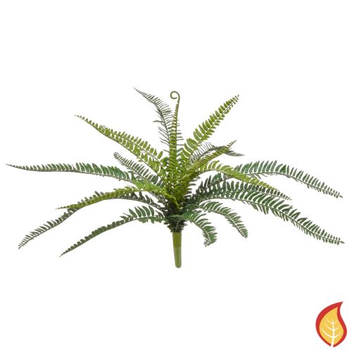 52cm Boston Fern (Fire Resistant)