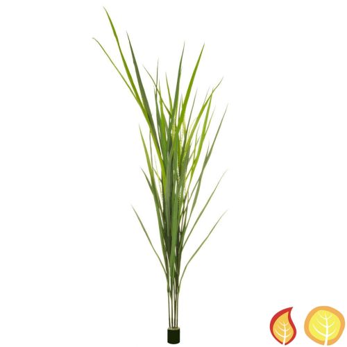 6ft (180cm) Grass Reed (Fire Resistant & UV Protected)