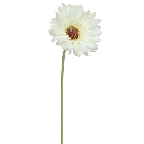 Gerbera White - 50cm