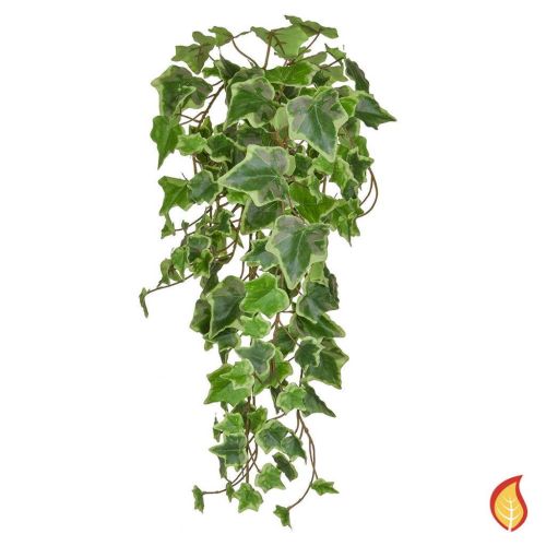 55cm Trailing Ivy  - Variegated (Fire Resistant)