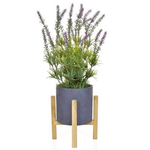 Lavender in Slate Pot