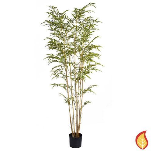 6ft (180cm) Bamboo Mini (Fire Resistant)