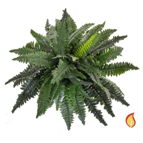 50cm x 80cm Boston Fern Large (Fire Resistant)