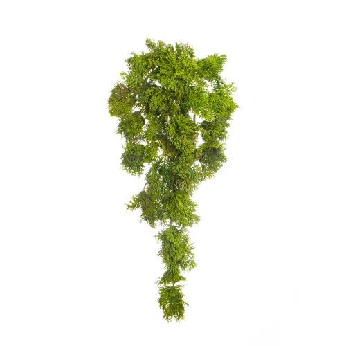 35cm (1.1ft) Reindeer Moss Train - Green (Fire & UV Protected)