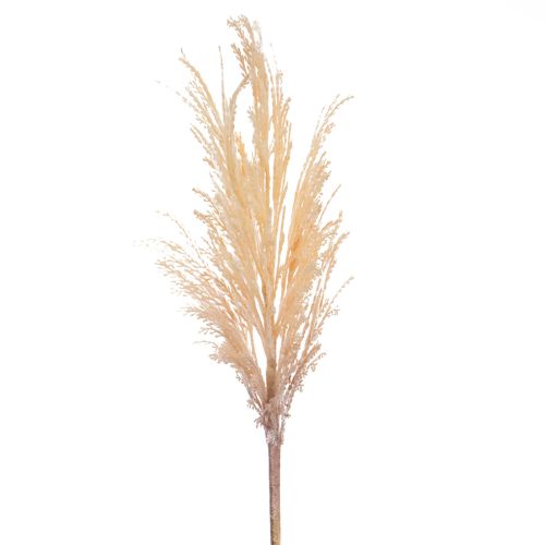 81cm Foliage Reed Dried Spray