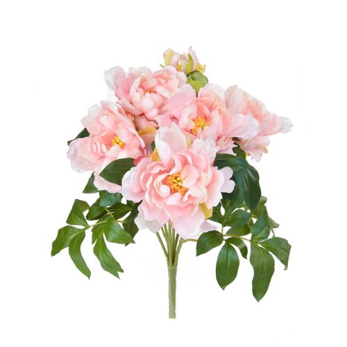 49.5cm (1.6ft) Bush Peony - Pink