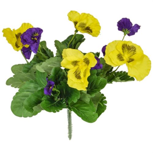 28cm Plants Flowering Pansy Mix Bush