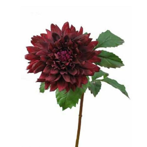 70cm (2.5ft) Dahlia Large Burgundy