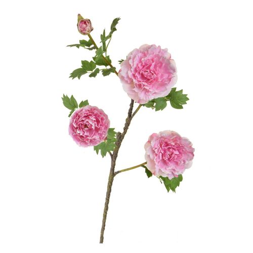 75cm (2.4ft) Peony Stem - Pink