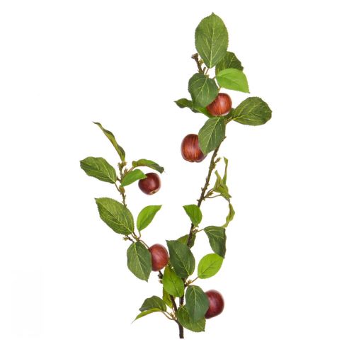 109cm (3.5ft) Apple Foliage with Red Fruit