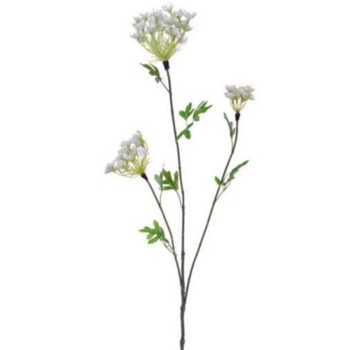 92cm (3ft) Queen Anne Lace